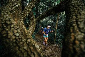 BIB: 
                            <button type="button" onclick="openModal(25670216)" class="btn btn-primary btn-sm float-right btn-popup" data-toggle="modal" data-target=".modal-high-quality">
                        <i class="fas fa-shopping-cart"></i> Add to Cart
                    </button>
                                            <button type="button" onclick="isThisMe(25670216, true)" class="btn btn-success btn-sm float-right btn-popup btn-isme hidden" data-toggle="tooltip" data-placement="bottom" title="นี่คือรูปของคุณใช่ไหม คลิกที่นี่เพื่อเอาเข้าอัลบั้ม">
                        <i class="fas fa-plus"></i> Add to album
                    </button>
                    <button type="button" onclick="isThisMe(25670216, false)" class="btn btn-warning btn-sm float-right btn-popup btn-isnotme hidden">
                        <i class="fas fa-ban"></i> Remove from album
                    </button>